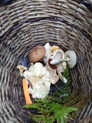 IMG_20261003_160114_699.jpg