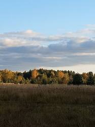 IMG_20261003_170152_052.jpg