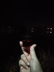 IMG_20261003_201950.jpg