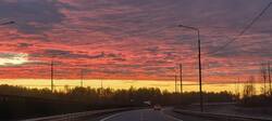 IMG_20261004_061647.jpg