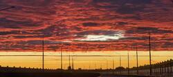 IMG_20261004_061754.jpg
