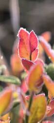 IMG_20261004_084443.jpg