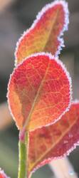 IMG_20261004_084458.jpg
