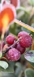 IMG_20261004_084645.jpg