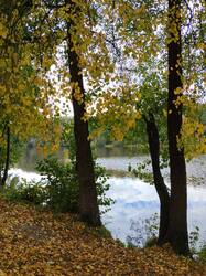 IMG_20261004_121253.jpg