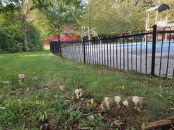 IMG_20261004_140530.thumb.jpg.debb55424e5e9b61fa5f0e00e552549e.jpg