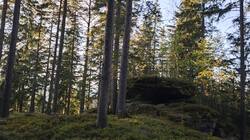 IMG_20261004_174924.thumb.jpg.f383e1f32f1dc8acb430fb831768ca06.jpg