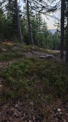 IMG_20261004_182325.jpg