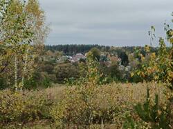 IMG_20261006_113226_623.jpg