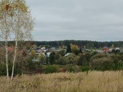 IMG_20261006_113251_565.jpg