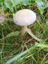 IMG_20261009_070302_248.thumb.jpg.57c0a2a5fc5b33f18369b8685bab3acf.jpg