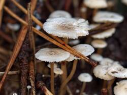 IMG_20261010_104713_Burst01.jpg