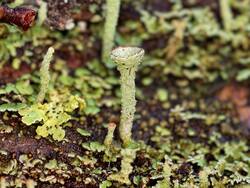 IMG_20261010_104804_Burst01.jpg