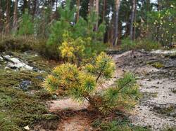IMG_20261010_105512.jpg