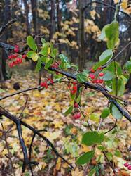IMG_20261015_102232_689.jpg