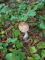 IMG_20261015_114533_546.jpg