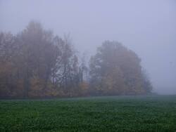 IMG_20261017_065345.thumb.jpg.7fa8d90436edaf3cc9ae74232785b83d.jpg