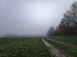 IMG_20261017_071900.thumb.jpg.792a10052ad3ed34b69b670be72e32ce.jpg