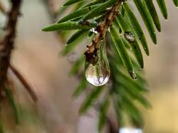 IMG_20261017_104122.jpg
