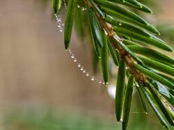 IMG_20261017_104134.jpg