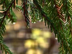 IMG_20261017_104214.jpg