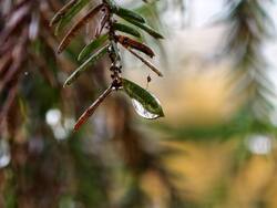 IMG_20261017_104530.jpg