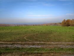 IMG_20261017_125716.jpg