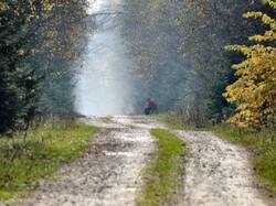 IMG_20261017_144616.thumb.jpg.ab4400f80b811e23b0bf5013b76d9d34.jpg