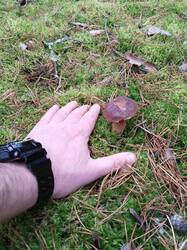 IMG_20261018_093527.jpg