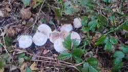 IMG_20261018_170548.jpg
