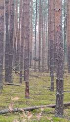 IMG_20261018_200347.jpg