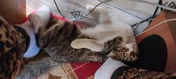 IMG_20261023_133643.thumb.jpg.0e931ded7288db95766206ba08b521fd.jpg