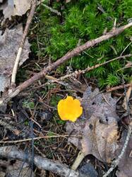 IMG_20261024_092251.jpg