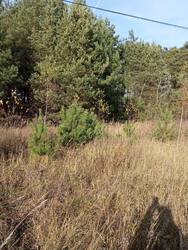 IMG_20261024_111337.jpg
