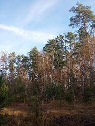 IMG_20261024_121122.jpg