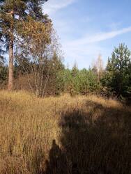 IMG_20261024_122010.jpg