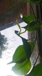 IMG_20261028_134933.jpg