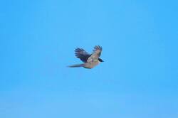IMG_20261028_230145_329.jpg