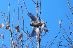 IMG_20261028_231332_850.jpg