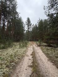 IMG_2156.jpeg