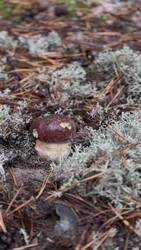 IMG_2157.jpeg