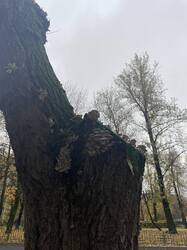 IMG_2820.jpeg