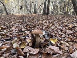 IMG_3955.jpeg