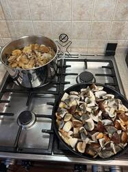 IMG_3970.jpeg