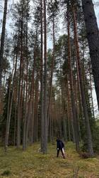IMG_4254.jpeg