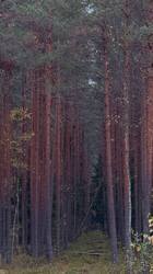 IMG_4267.jpeg