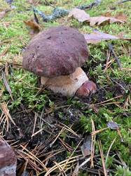 IMG_4777.jpeg