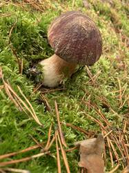 IMG_4797.jpeg