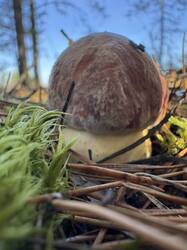 IMG_4820.thumb.jpeg.2d3d1956d35ee930449bf9a8d81a21f9.jpeg