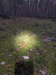 IMG_4856.jpeg